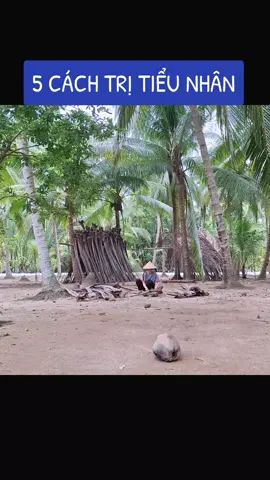 #tamlinh #tamtrang #xuhuongtiktok #camxucmoingay #suynghitrongtoi 🌴71👋@CẨM NHUNG @CẨM NHUNG @CẨM NHUNG 