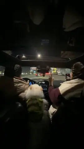 ##kirkuk #محافظه_كركوك #fypシ゚ #fypシ゚viral🖤tiktok #like ♥️♥️