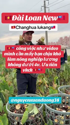 #nguoivietnamtaidailoan🇻🇳🇹🇼 Cần thêm vài bạn từ Việt Nam -> Đài Loan. Lương về tay 5v-5v chưa tính thưởng. Nhắn tin mình hỗ trợ nhé🇻🇳🇹🇼 #viralvideo #uocduoclenxuhuong #xuhuongtiktok #xklđailoan🇹🇼 