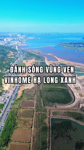 Đánh sóng vùng ven Vinhome Hạ Long Xanh #vinhomehalongxanh #halongxanh #hottrend #trending #halong 