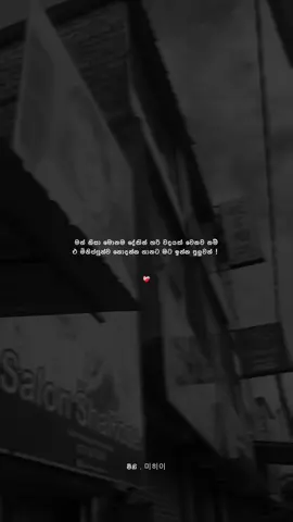 ම්ම්! 🤍 #mihi_quotes #fypシ゚viral #whatsappstatus #viralvideo #trending 