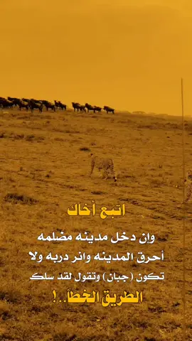 #عبارت #اكسبلو #اكسبلورexplore 