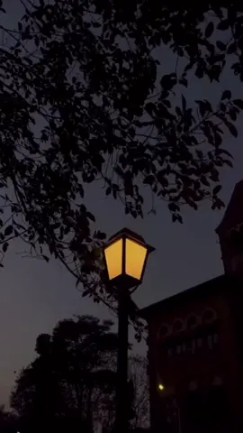 @Sherine Abdelwahab #في _عشق_بيستنانا_وعشق_بنستناه#شيرين_عبد_الوهاب #CapCut #fyp #egypt🇪🇬 