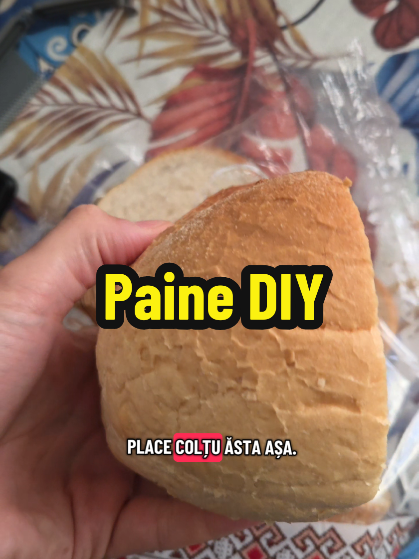 #paine #masimtgourmet #gourmet #munir 