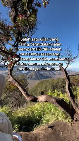 #syairarab #bromomountain #bromotenggersemeru 