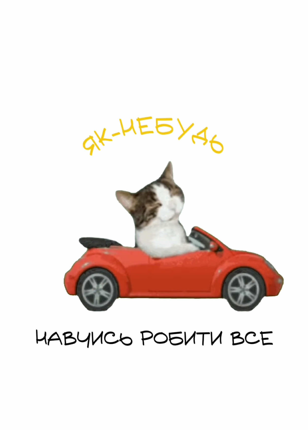 Не чекаємо ідеального моменту #кицяпояснює #фріланс #саморозвиток #цілі 