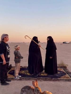 افضل زيت زيتون طبيعي للحمسات و للطبخ و للسلطات وحتى في كشتة البر، متوفر بأحجام مختلفة لا يطوفك 