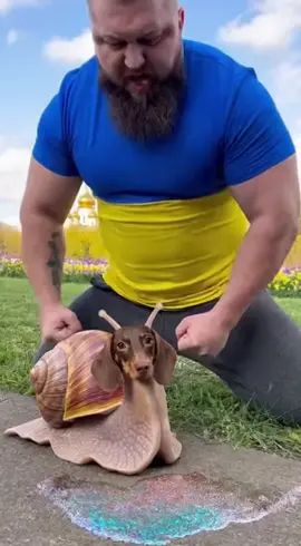 сюся потужно #сюся #потужно #сора2 #sora2 #dogs 