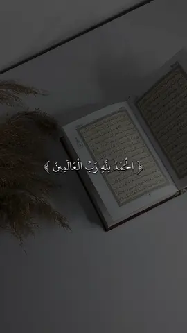 #القارئ #ماهرالمعيقلي #🖤✨ #quran #fyp #قران #sb3zaid0 