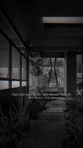 Trời cao như đang trêu ngươi thân ta khi bông hoa ấy…#nmh_20th5 #nhachaymoingay #nhactamtrang #xh 