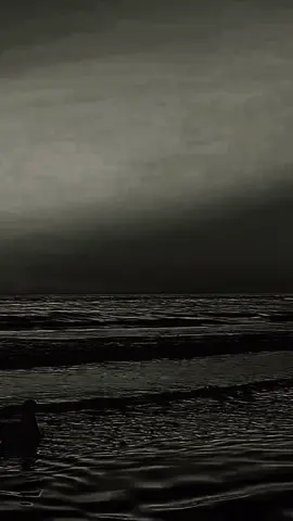 🫶🤲 الحمد لله دائما وأبدا🫶🤲