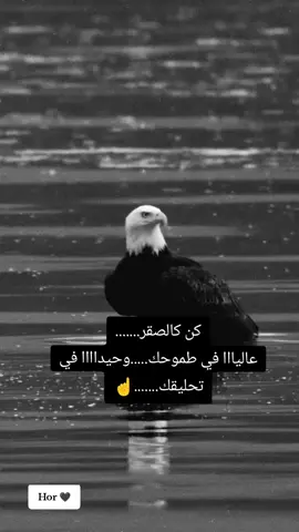 #fyp #foryoupage #fbyツ 