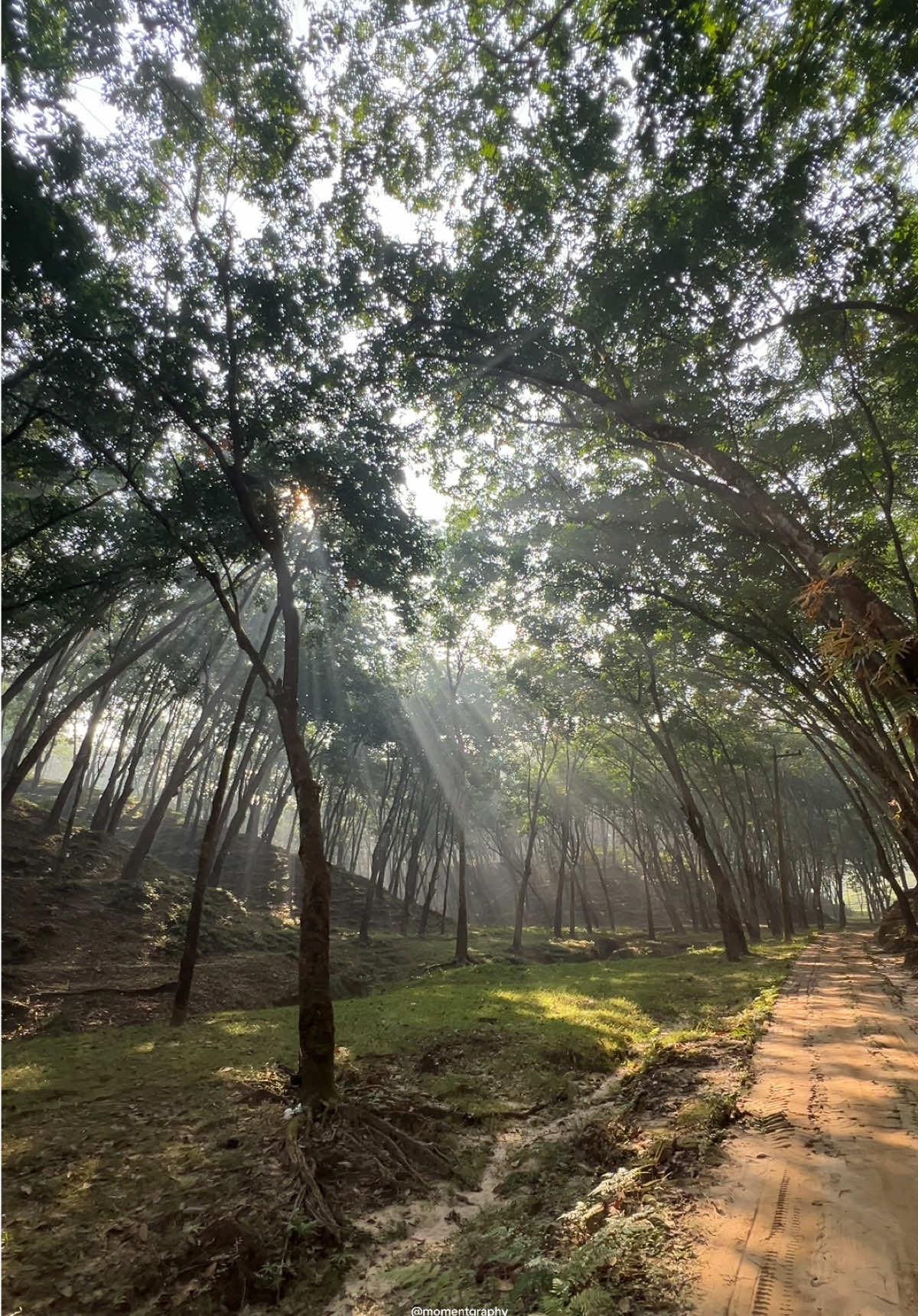 স্নিগ্ধ সকালের সৌন্দর্য 😍