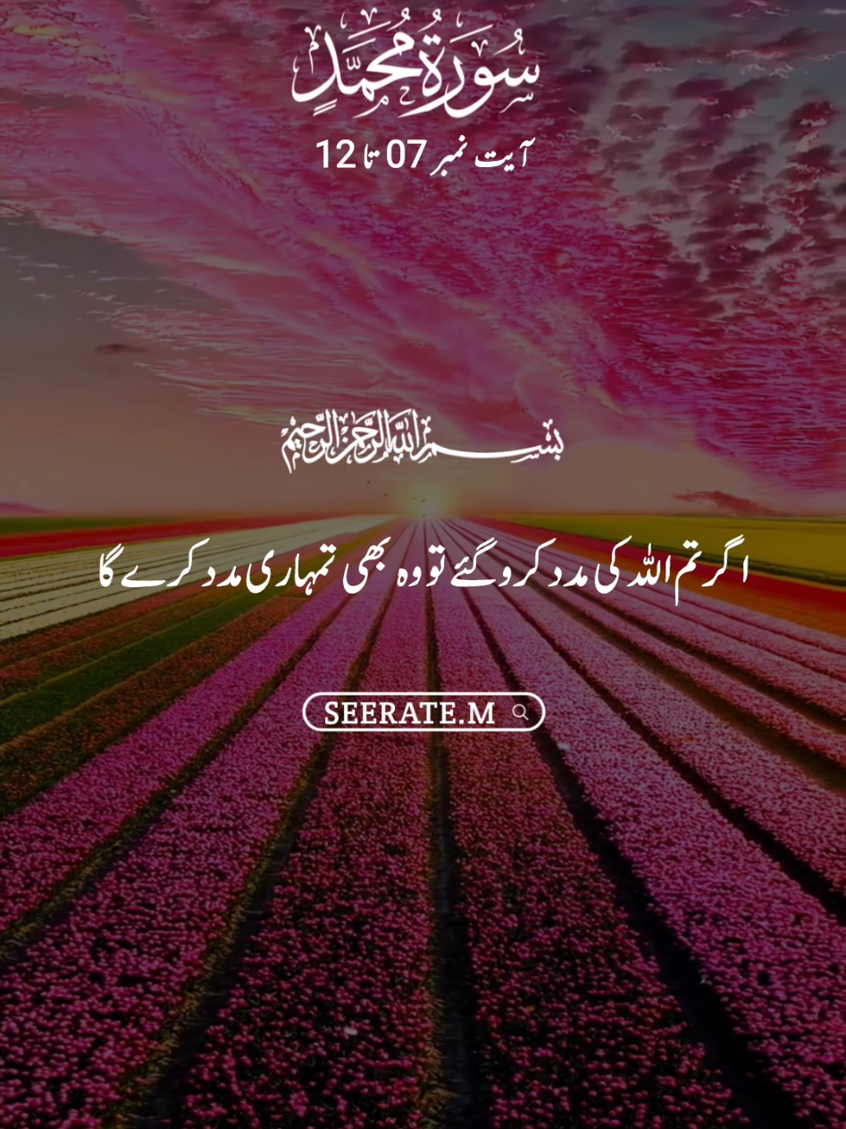 Quran kareem with translation 😍  surat muhammad ayat no 07 to 12 #quran #hadees #islam #seerate_m #viral 