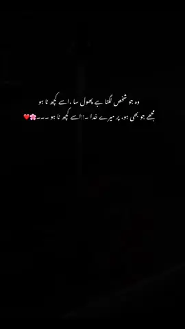 خیر منگدا میں تیری ❤️✨🌸