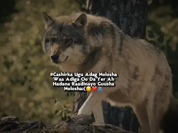 Really😔 .. .. .. #foryoupage #foryou #viral #veiwsproblem💔😶 