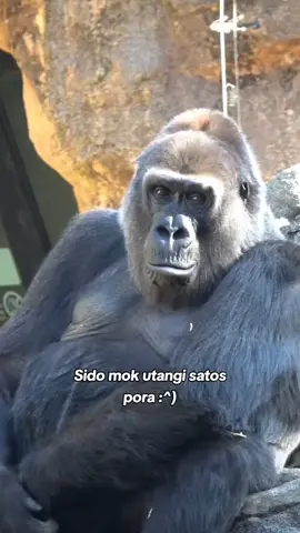 #fypp di enteni ket mau kok ora rumongso😪#jowopride #katakata #sedih #puitekchanel 