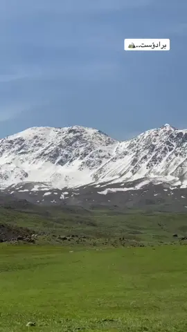 #برادؤست_ميژووی_هؤزيكى_بةهةيبةت #كئلةشين 