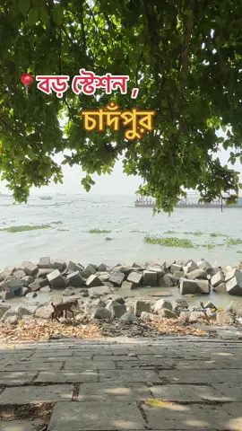 📍বড় স্টেশন , চাদঁপুর #chandpur_boro_station #chandpur #foryoupage #viralvideo #fyp 