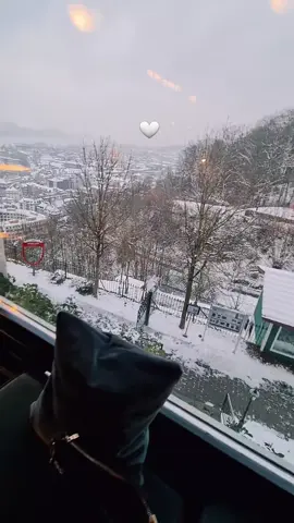 #fouryou❤️❤️ صباح الحب 🤍سويسرا🤍