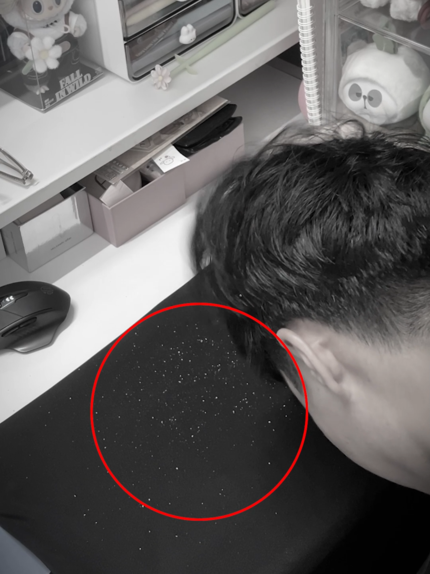 Dầu gội sạch gàu chuyên biệt, hỗ trợ giảm các mảng bong tróc trắng trên da đầu  #blackfriday #BFD #Daugoitrigau #icarepharma #khuyenmai #Xuhuong2025 #Xuhuong #canhbao #Thu6extra #saleluongve #thuhaifreeship #Antisol #Salecuoithang #Salegiuathang #Salengaydoi #iCareBrandFanDay