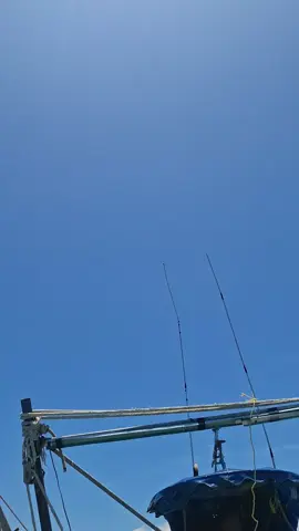 เอาไม่หมดแล้ว ตัดให้เพื่อนหล่าวที่เหลือ