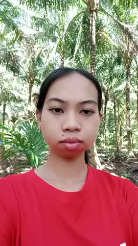 Linh Ơi Linh Viết Thiệp Hồng Tên Ai Rồi #canhdepthonque #camnhicover #cover @Cẩm Nhi COVER🎤 