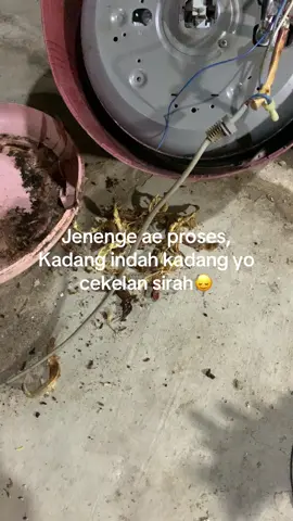keripikkk🤣😭#nikmatiprosesnya #likalikukehidupan #serviceelektronik #tukangsolder #fyppppppppppppppppppppppp 