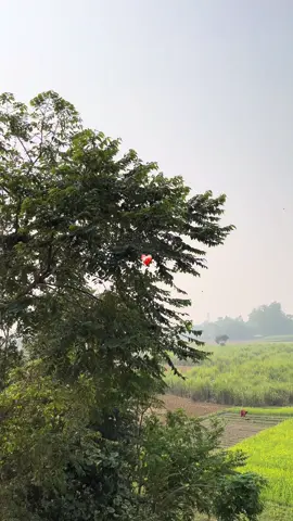 Koi Nahi🥺❤️‍🩹 #mightyankit #part87 #foryoupage #birgunjmuser #nightview 