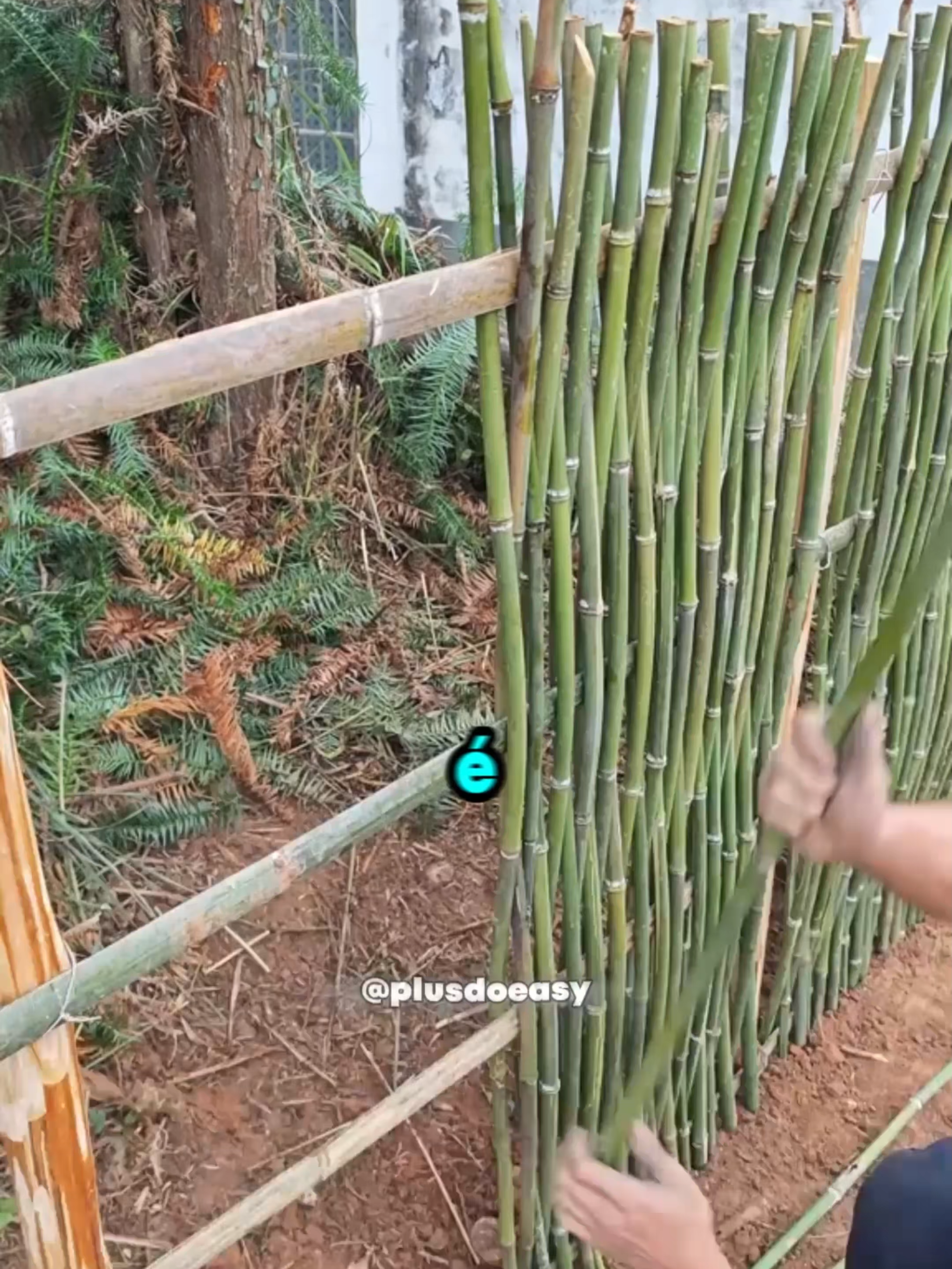 Você sabia disso? #fyp