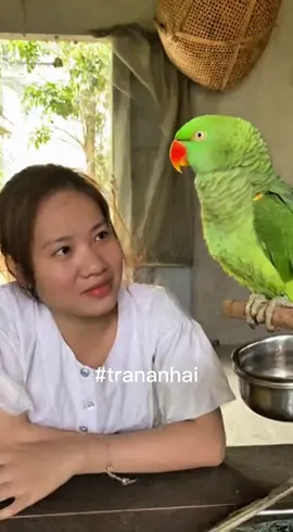 Phụ nữ có cần giảm cân không #haihuoc #ai #videoai 