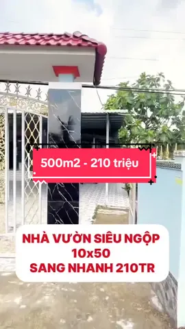 Nhà Vườn 500m2 - Chỉ 210tr. Alo Em ngay #xuhuong #xuhuongtiktok #bđssaigon #viralvideo #viral 