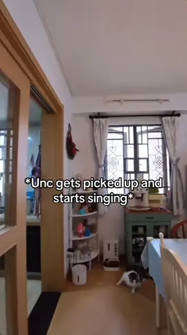 #fyp #fypdong #viral #unclebao #kucing 