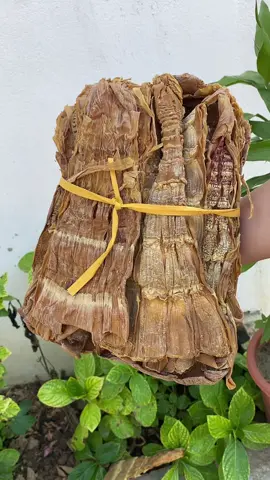 Măng mầm khô Tây Bắc #xuhuongtiktok#amthuctaybac#mangkho#