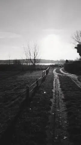 #zitat #emotionen #gedanken 