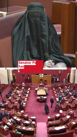 One Nation leader Pauline Hanson has forced the Senate to suspend after she reprised a burqa stunt from eight years ago. The Queensland senator was trying to table a motion to ban the burqa — a head-and-body covering predominantly worn by Muslim women in Afghanistan — on Monday afternoon, but the motion was not granted. Moments later, she returned to the Senate chamber to vote in a division, alongside Coalition and crossbench senators, wearing a black burqa, with her legs visible. Senators became outraged as Senate president in the chair, Slade Brockman, allowed the vote to proceed, with many using their minutes to call out the behaviour. Pauline Hanson criticised in Senate after wearing burqa again