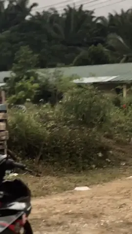 #dypdongggggggg #xzybca #foryou #fypdongggggggggシ #bugis #xzybca #ysukuproject #y15jahat🇲🇾 #thailand🇹🇭 #y15 