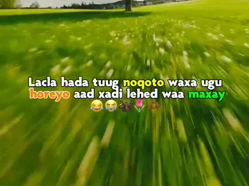 #loveisaar❤️👈 #jawibila🌊❤️🌴 #5marcopylinkplease🙏 #problemviews💔😞 #background @M͜͡ᗩᕼᗩ𝗠𝗘TT🤴🏽 