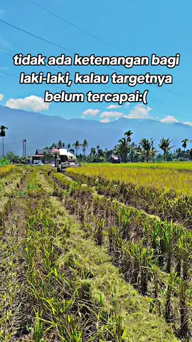 🙂🙂#bimo102 #pejuangrupiah #combinharvesterrrrrr #operatormudapunyacerita #fyp 