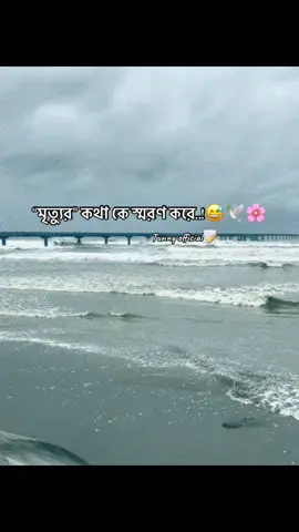 ☘️Amni🍃আবু তুহা মুহাম্মদ আদনান😊🌿#voice #islamic #fup 🦋🌸[Tunny_mirza]💚✅🌚