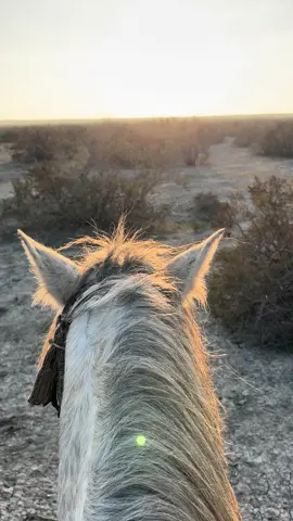 😍❤️‍🔥 #kəşfet 