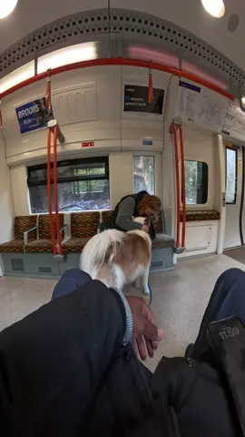 Train interactions with my dog!!  #husky #trains #latvia #london #fyp 