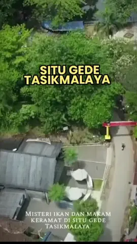 MISTERI IKAN DAN MAKAM KERAMAT SITU GEDE TASIKMALAYA...  #macanpantura57 #mitos #misteri #tasikmalaya #fyp 