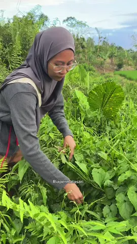 Cari pakis #Vlog #panen #pakis #krbun #masak 