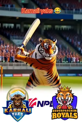 karnali yaks fan haru😂#karnaliyaks #suderpachimroyals 