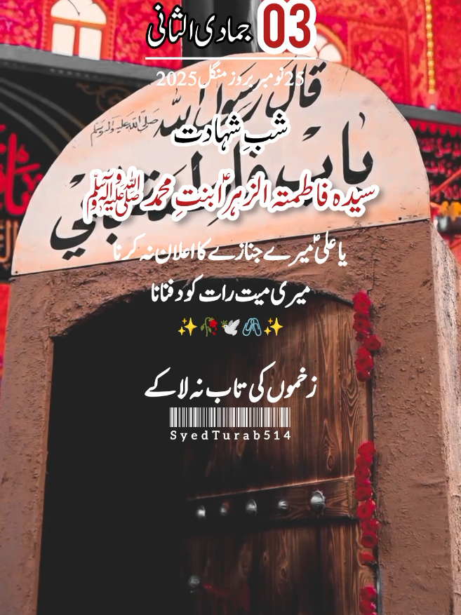 03jamadi_ul_sani_shahadat_bibi_pak_fatima_slwt#3jamadulsanishahadatbibifatimas #shahadatbibifatima #3jamadiulsani #3jamadi_ul_sani_statuss #syedturab514 