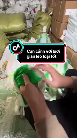 Cận cảnh với lưới giàn leo loại tốt #dâynhuapet #thanhfarm #lướigianleo 