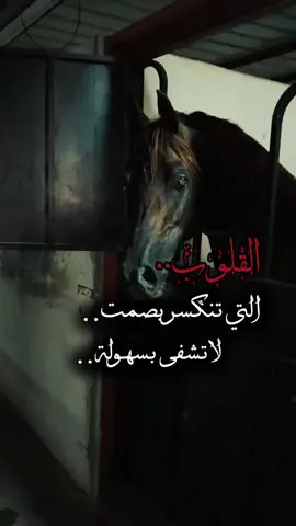 #ستوريات #تيك_توك #أكسبلورر #فولو #fyp 