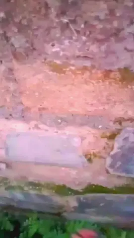 adem😌😌 #sunset #sorehari #fyppppppppppppppppppppppp #masukberanda #fyp 