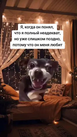 #юмор #прикол #capcut #meme #ржач 